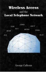 Wireless Access and the Local Telephone Network