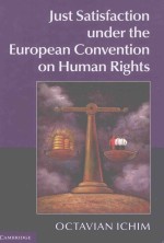 JUST SATISFA CTION UNDER THE EUROPEAN CONVENTION ON HUMAN RIGHTS