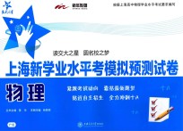 上海新学业水平考模拟预测试卷  物理