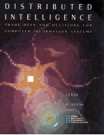 DISTRIBUTED INTELLIGENCE:Trade-Offs and Decisions for Computer Information Systems