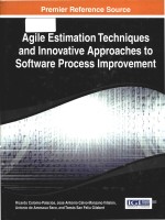 Agile estimation techniques and innovative approaches to software process improvement