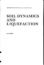 SOIL DYNAMICS AND LIQUEFACTION