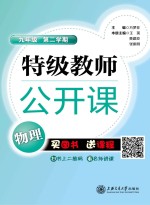 特级教师公开课  物理  九年级  第二学期