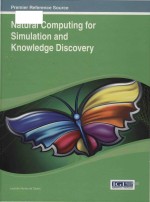 natural computing for simulation and knowledge discovery