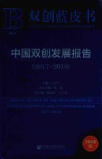 中国双创发展报告  2017-2018