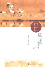 中国朦胧诗  2017卷