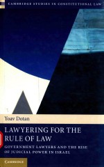 LAW YERING FOR THE RULE OF LAW GOVERNMENT LAWYERS AND THE RISE OF JUDICIAL POWER IN ISRAEL