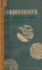 人体肺部病灶内的结核杆菌  组织细菌学及其与肺结核治疗的关系