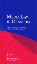 MEDIA LAW IN DENMARK