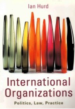 INTERNATIONAL ORGANIZATIONS  POLITICS