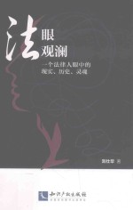 法眼观澜  一个法律人眼中的现实、历史、灵魂