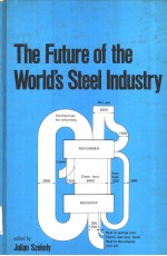 THE FUTURE OF THE WORLD'S STEEL INDUSTRY