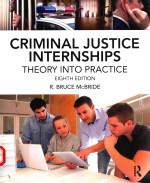 CRIMINAL JUSTICE INTERNSHIPS THEORY INTO PRACTICE