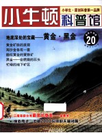 地底深处的宝藏  黄金黑金  适读于7-12岁  最新升级版