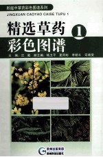 精选草药彩色图谱  1