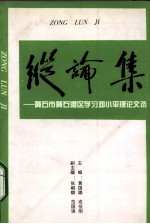 纵论集  黄石市黄石港区学习邓小平理论文选