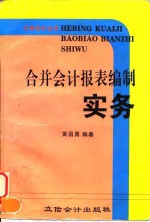 合并会计报表编制实务