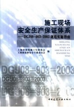 施工现场安全生产保证体系 DGJ08-903-2003规范实施指南