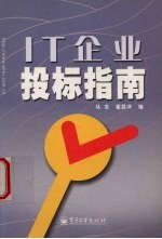 IT企业投标指南