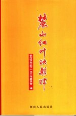 麓山红叶映朝晖  长沙市关心下一代工作委员会成立二十周年纪念文集