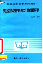 社会经济统计学原理