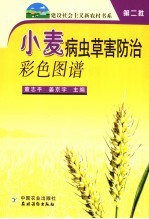 小麦病虫草害防治彩色图谱