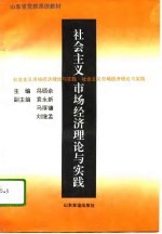 社会主义市场经济理论与实践