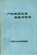 产权制度改革实践与探索