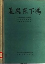 夏县东下冯  中国田野考古报告集  考古学专刊  丁种第三十五号