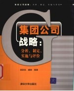 集团公司战略  分析、制定、实施与评价