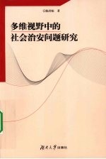 多维视野中的社会治安问题研究