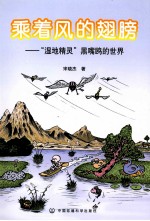 乘着风的翅膀  湿地精灵、黑嘴鸥的世界