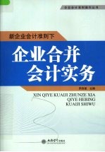 新企业会计准则下企业合并会计实务