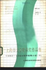 上海市文学奖获奖作品集  1982-1984年中短篇小说  下