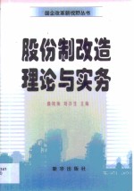 股份制改造理论与实务