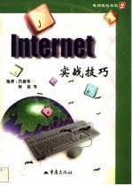 Internet实战技巧