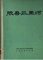 胶县三里河  中国田野考古报告集  考古学专刊  丁种第三十二号