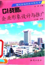 CI战略：企业形象设计与推广