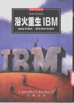 浴火重生IBM IBM的过去、现在与未来剖析