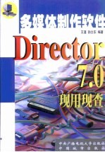 Director 7.0现用现查