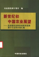 新世纪初中国农业展望  农业部农业和农村经济发展第十个五年计划汇编