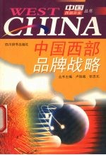 中国西部品牌战略