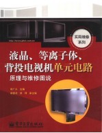 液晶、等离子体、背投电视机单元电路原理与维修图说