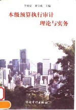 本级预算执行审计理论与实务