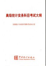 高级统计实务科目考试大纲