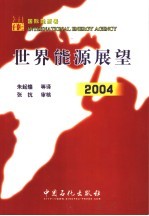 世界能源展望  2004