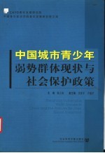 中国城市青少年弱势群体现状与社会保护政策