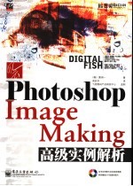 风云PHOTOSHOP IMAGE MAKING高级实例解析