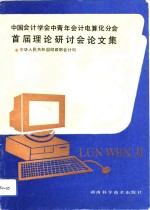 中国会计学会中青年会计电算分会首届理论研讨会论文集