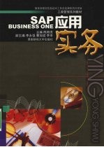 SAP Business one应用实务